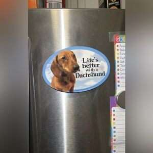 Weiner Dog Dachshund Lover Puppy Doggy Refrigerator Magnet Sign Home Work Decor